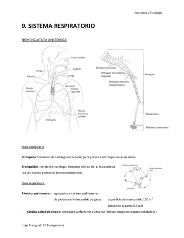 09 Sistema respiratorio.pdf