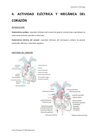 04 Actividad eléctrica y mecánica del corazón.pdf