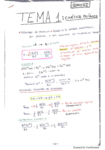 TEMA 1 APUNTES CON ACT ~ QUIMICA II.pdf