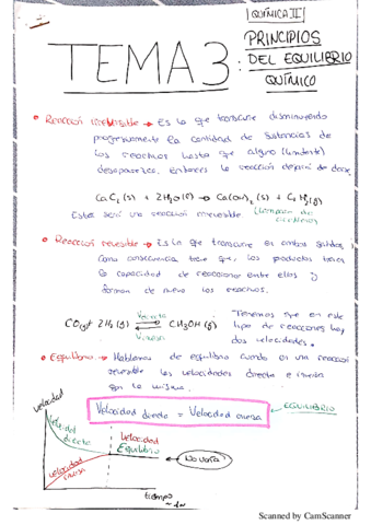 TEMA 3 APUNTES ~ QUIMICA II.pdf