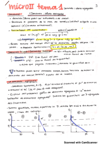 TEMA 1 oferta i demanda.pdf