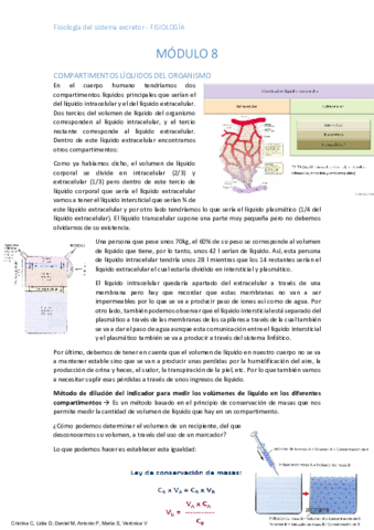 Apuntes Fisiología m8.pdf