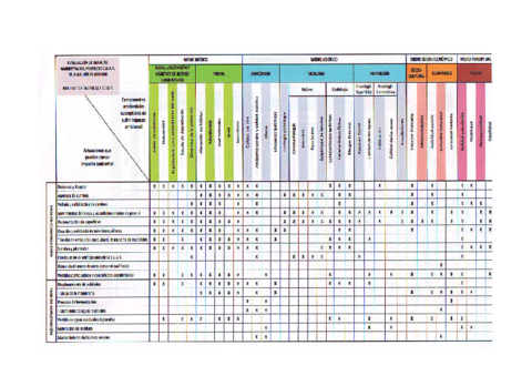 Matriz de identificación de impactos de una Depuradora.pdf