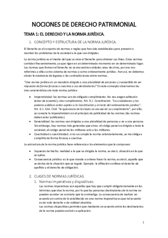 NOCIONES DE DERECHO PATRIMONIAL.pdf