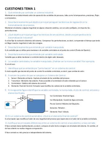 Cuestiones 1º Parcial Auto.pdf