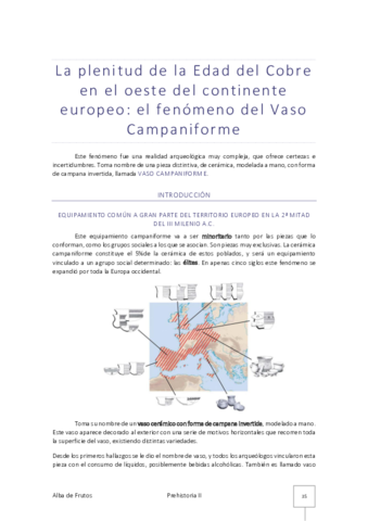 7. EL FENÓMENO DEL VASO CAMPANIFORME.pdf