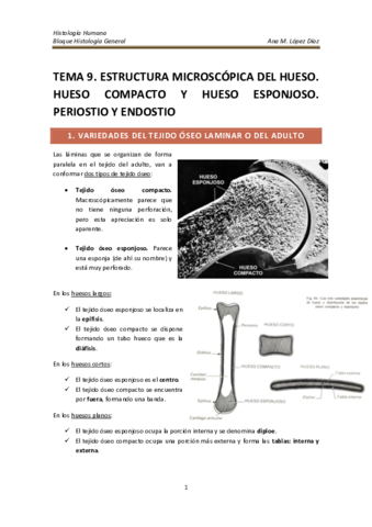TEMA 9. ESTRUCTURA MICROSCÓPICA DEL HUESO. HUESO COMPACTO Y HUESO ...