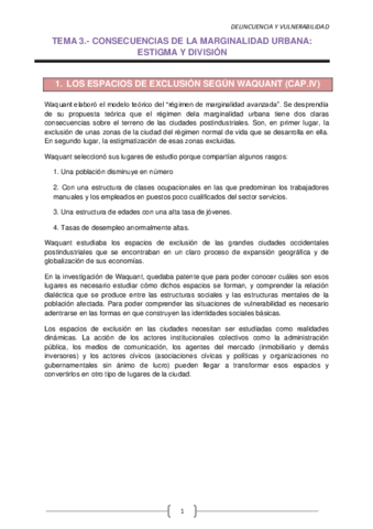 TEMA 3.pdf