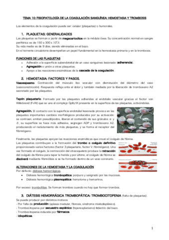 Tema 10.pdf
