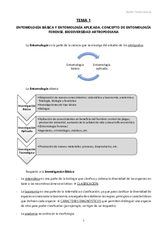 TEMA 1.pdf