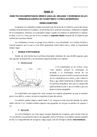 TEMA 17.pdf