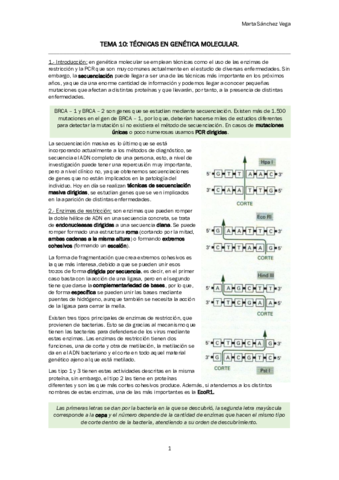 TEMA 10 TÉCNICAS EN GENÉTICA MOLECULAR.pdf