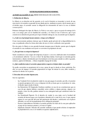 Autoevaluaciones Romano.pdf