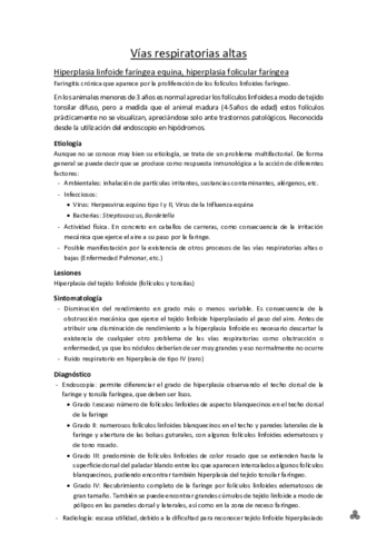 2. Vías respiratorias altas.pdf