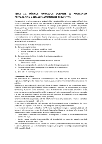 TEMA 11.pdf
