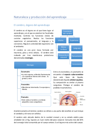 Tema 2.pdf