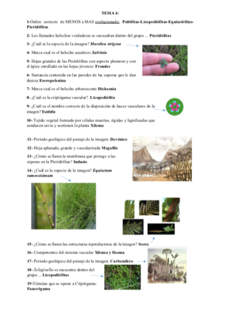 test botanica temas 4_5.pdf