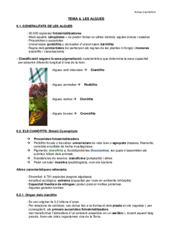 Apunts botànica farmacèutica (Tema 6).pdf