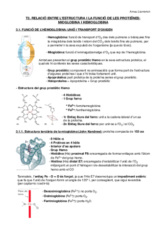 Apuns Bioquímica (Tema 3).pdf