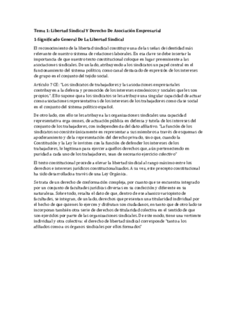 Tema 2 La Libertad Sindical y Derecho Asociacion.pdf