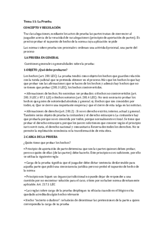 Tema 11 La Prueba.pdf