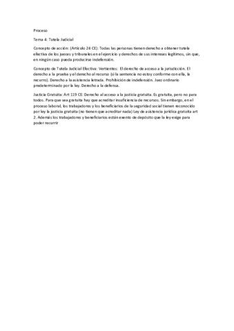 Tema 4 Tutela Judicial.pdf