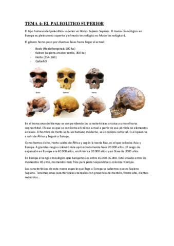 TEMA 4 prehistoria.pdf