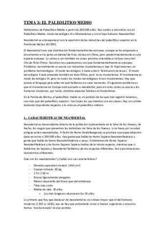 TEMA 3 prehistoria.pdf