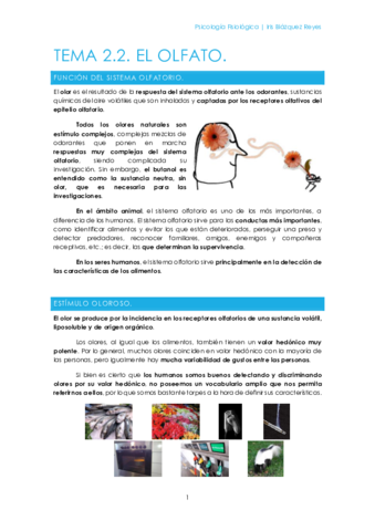 TEMA 2.2. EL OLFATO.pdf