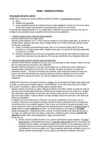 TEMARIO PRIMER PARCIAL PENAL 1.pdf