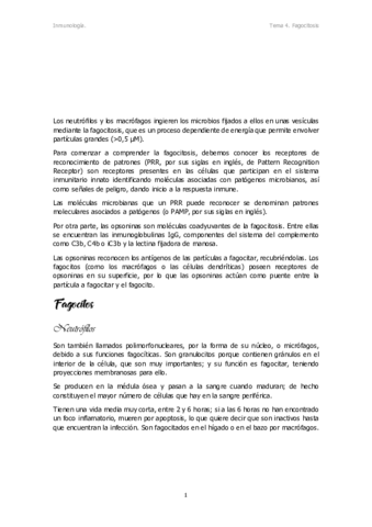 Tema 4.pdf