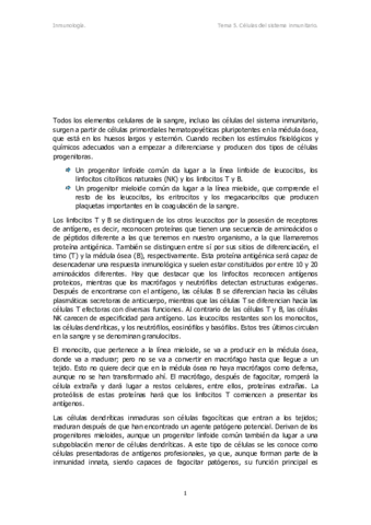Tema 5.pdf