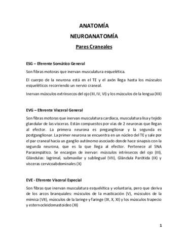 PARES CRANEALES RESUMEN.pdf