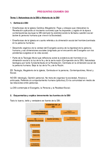 Preguntas DSI Examen.pdf