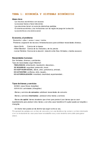 ECONOMÍA T.1.pdf