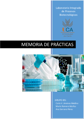 MEMORIA DEFINITIVA LIPROC.pdf