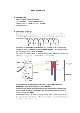 Tema 8 artrópodos.pdf