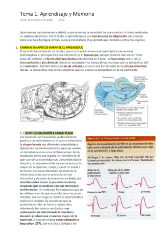 PSICOBIOLOGÍA Tema 1. Aprendizaje y Memoria (wuolah) (2).pdf