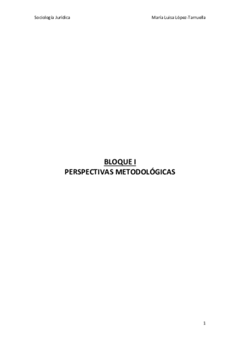 Tema 1-3 Sociologia Juridica.pdf
