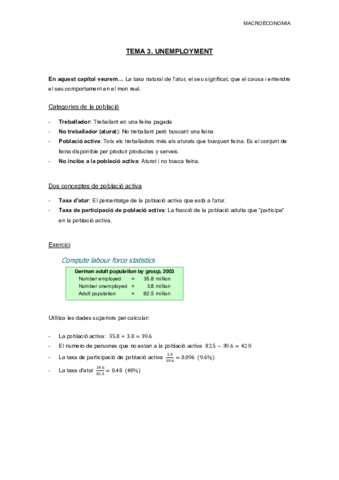 TEMA 3 macro.pdf