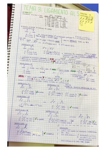 TEMA 3 LIGAMIENTO AL SEXO .pdf