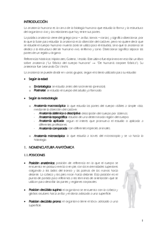 ANATOMÍA.pdf