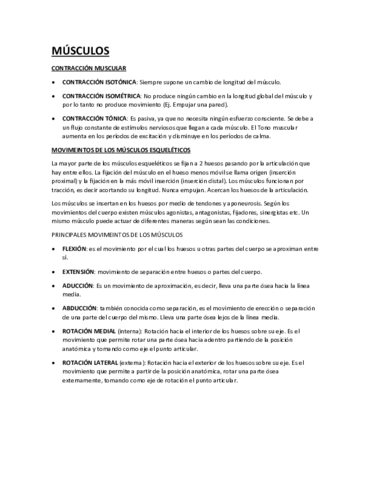 MÚSCULOS.pdf
