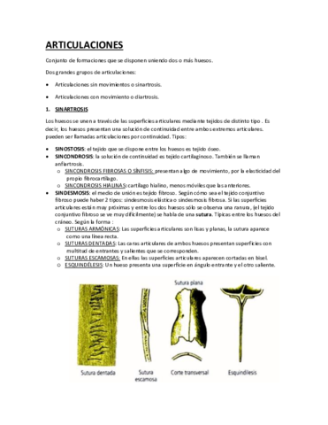ARTICULACIONES.pdf