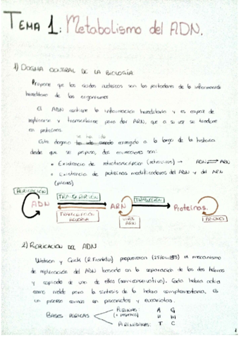 Miniatura del documento 20190312(1).pdf