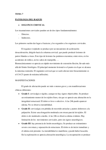 TEMA 7 RAQUIS.pdf