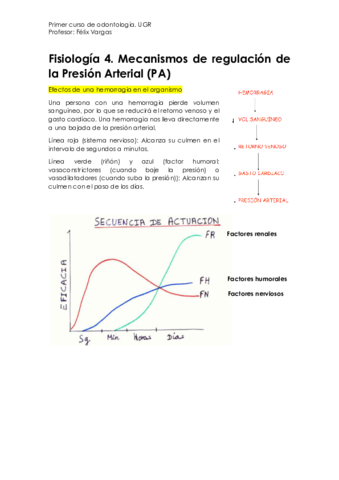 Fisiología 4. Mecanismo de Regulación PA..pdf