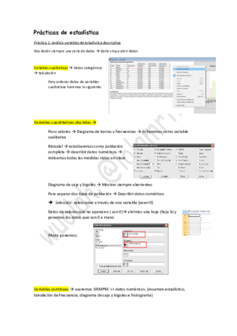 Prácticas de estadística.pdf