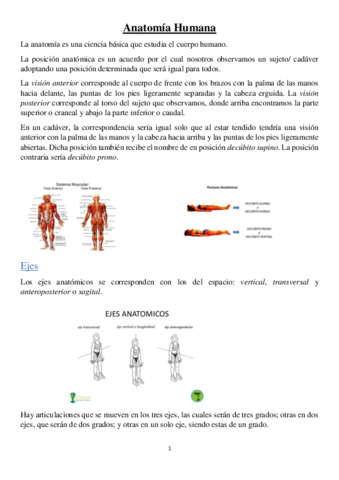 Anatomía Humana 1º CAFD.pdf
