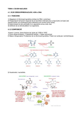 TEMA 4.pdf